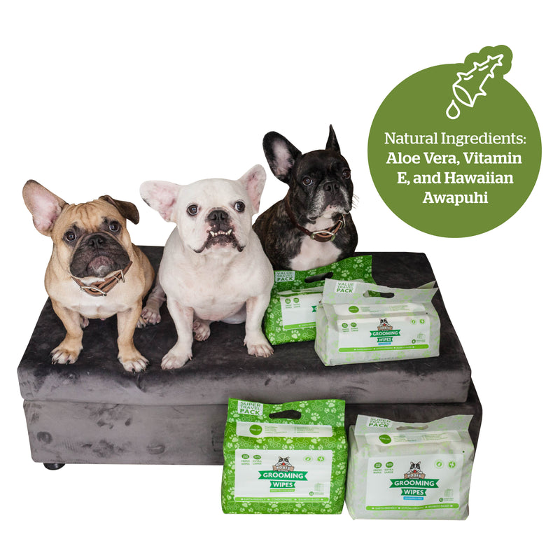 Pogi's Pet Supplies - Grooming Wipes - Green Tea - 240 Packs - 20 x 23 cm